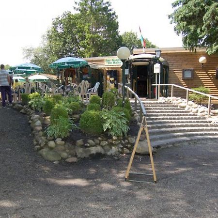 Chalet Kokomo - Gelegen In Bosrijkgebied Van Drenthe 伊科斯特 外观 照片