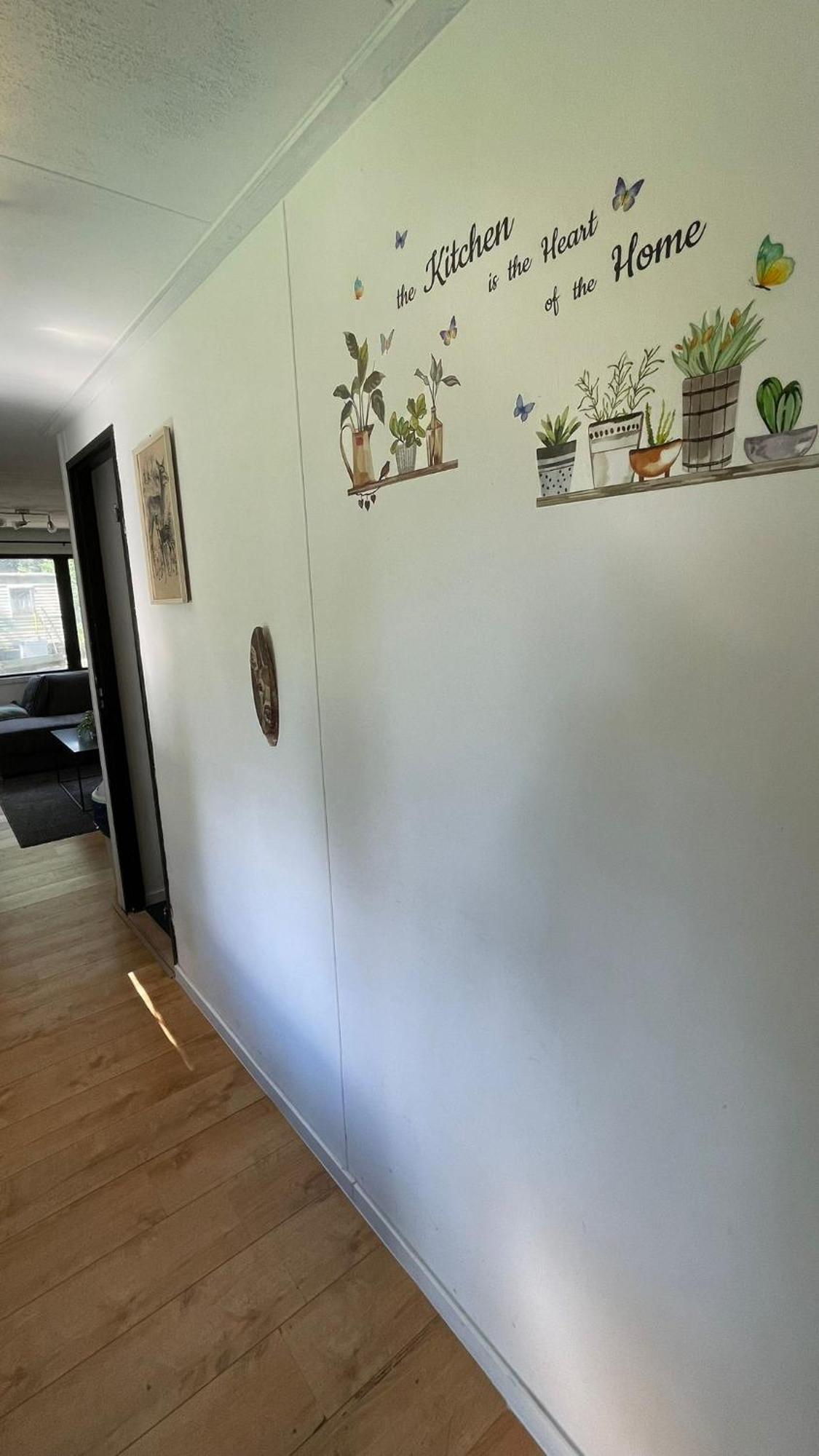 Chalet Kokomo - Gelegen In Bosrijkgebied Van Drenthe 伊科斯特 外观 照片